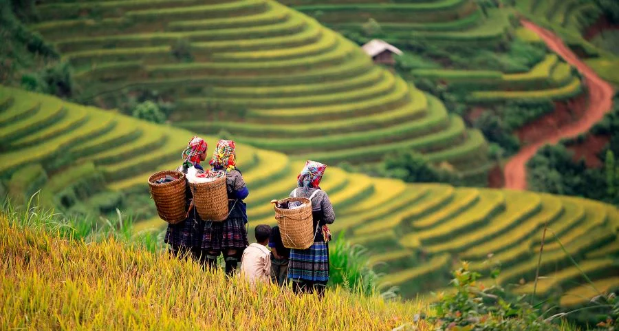 Ngoài khung cảnh tuyệt đẹp thì Mù Cang Chải còn nổi tiếng với những văn hoá vùng cao đặc biệt