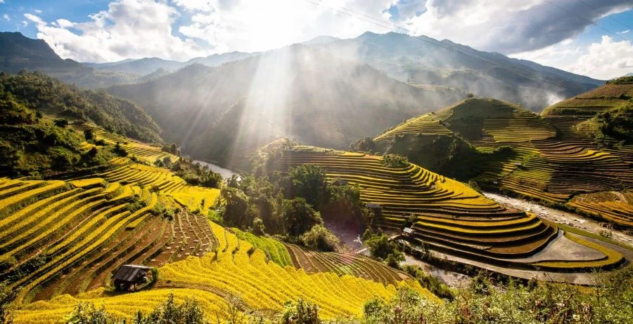 Mùa lúa chín là thời điểm mà Mù Cang Chải đẹp nhất