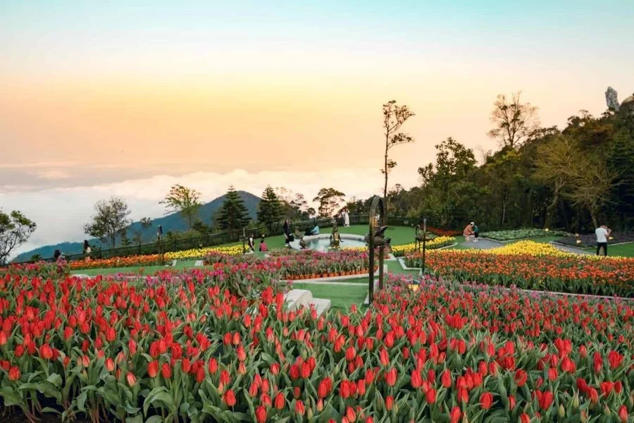 Vườn hoa Le Jardin D’Amour - Một trong những điểm dừng chân tuyệt đẹp