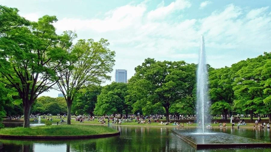 Tokyo mang đậm nét văn hoá của xứ phù tang với nhiều địa điểm tuyệt đẹp