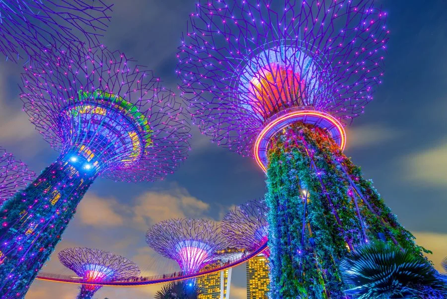 Các Supertrees tỏa sáng vào ban đêm như những cột sáng lấp lánh giữa bầu trời đêm