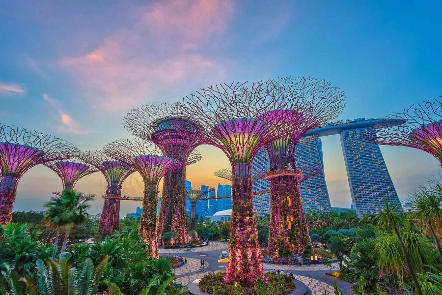 Supertree Grove - công trình kiến trúc nghệ thuật đỉnh cao