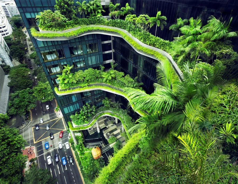 Du lịch Singapore mang đến cho du khách những trải nghiệm mới mẻ và thú vị