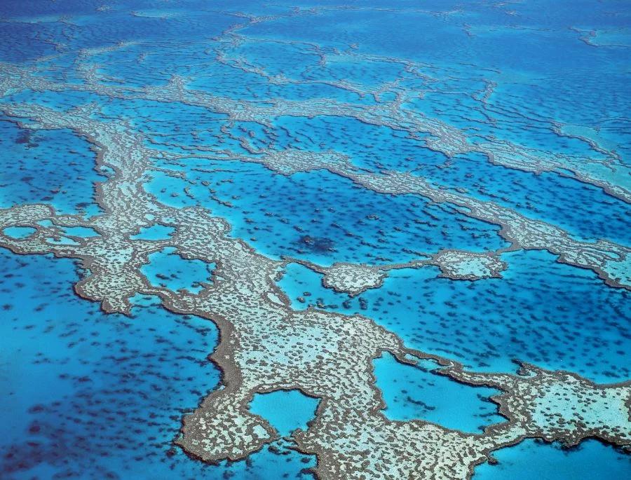 Rạn san hô Great Barrier nhìn từ trên cao với hệ sinh thái đa dạng