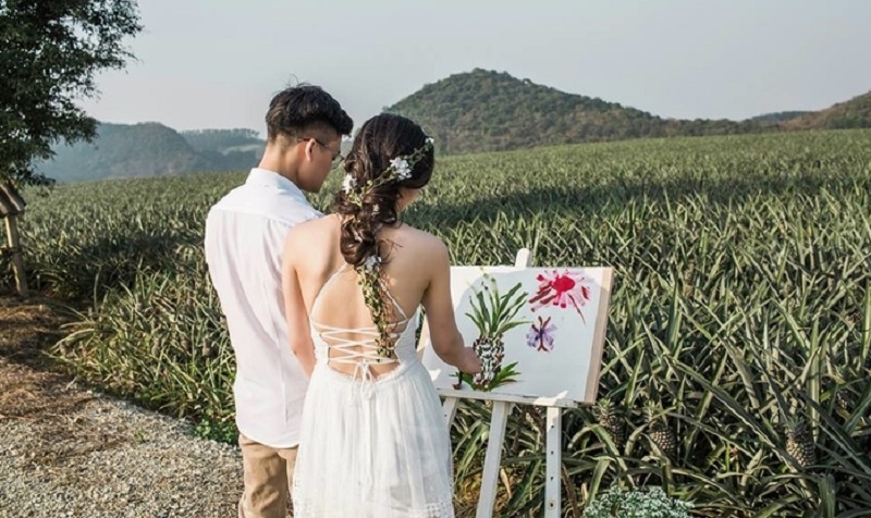 Cánh đồng dứa Ninh Bình - Nơi vẽ "giấc mơ tình yêu" cho các cặp đôi Cánh đồng dứa Ninh Bình - Nơi vẽ "giấc mơ tình yêu" cho các cặp đôi