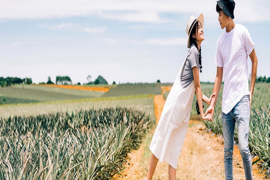 Cánh đồng dứa Ninh Bình - Nơi vẽ "giấc mơ tình yêu" cho các cặp đôi Cánh đồng dứa Ninh Bình - Nơi vẽ "giấc mơ tình yêu" cho các cặp đôi