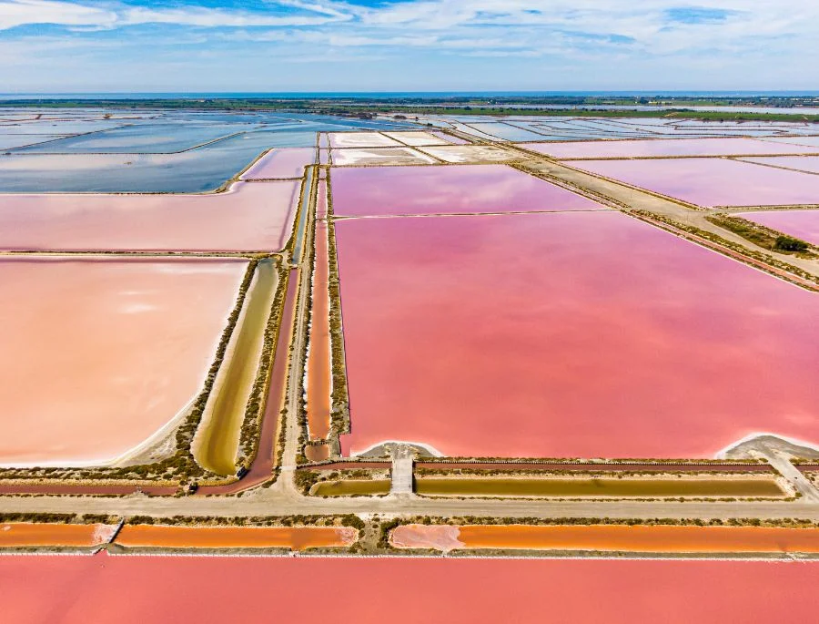 Sắc hồng tuyệt đẹp tại Cánh đồng muối Aigues-Mortes