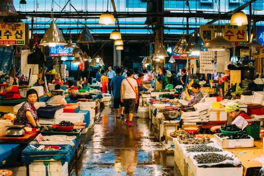 Noryangjin không chỉ là nơi mua sắm hải sản mà còn là thiên đường ẩm thực với vô số món ăn được chế biến từ các nguyên liệu tươi ngon nhất