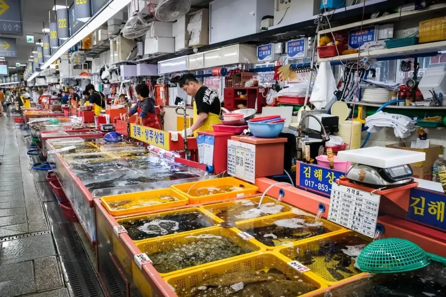 Nổi tiếng là chợ hải sản lớn nhất Hàn Quốc, Jagalchi luôn sôi động và nhộn nhịp với vô vàn loại hải sản tươi ngon được đánh bắt hàng ngày