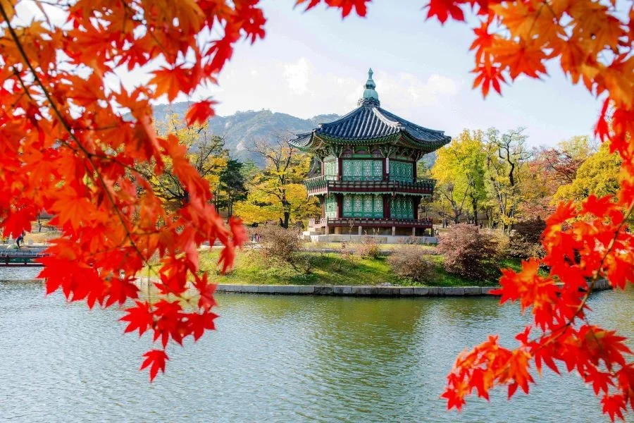 Cung điện Gyeongbokgung - điểm đến lý tưởng để chiêm ngưỡng vẻ đẹp mùa thu Hàn Quốc