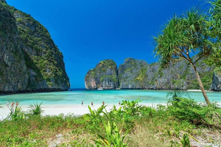 Vịnh Maya được bao bọc bởi những vách đá vôi, tạo nên một khung cảnh thiên nhiên hùng vĩ và tráng lệ