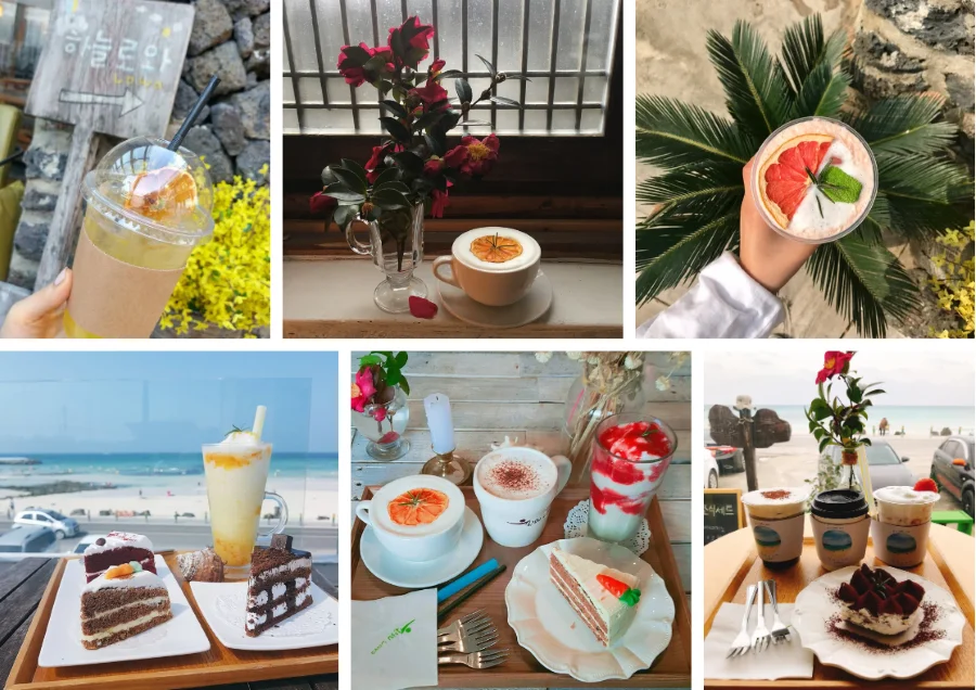 Những món đồ uống tại LOWA đều được trang trí với các loại trái cây sấy khô vô cùng bắt mắt