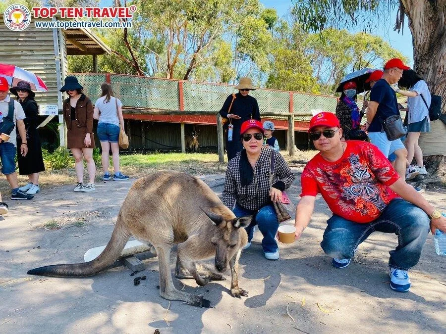 Du khách tham gia hành trình tour Úc của Top Ten Travel