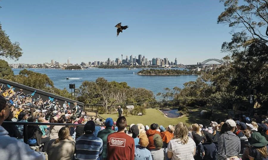 Vườn thú Taronga được biết đến như một hệ sinh thái xanh nằm giữa lòng thành phố Sydney