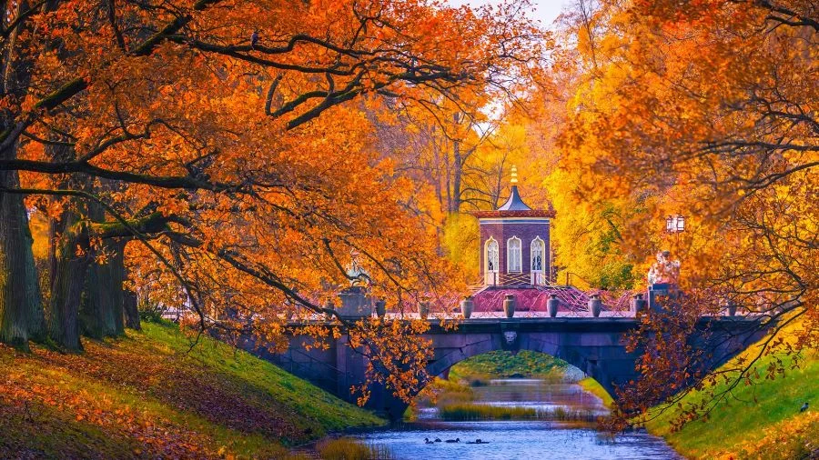 Nhắc đến các tọa độ du lịch Nga mùa thu, du khách chắc chắn không thể bỏ qua thành phố Saint Petersburg