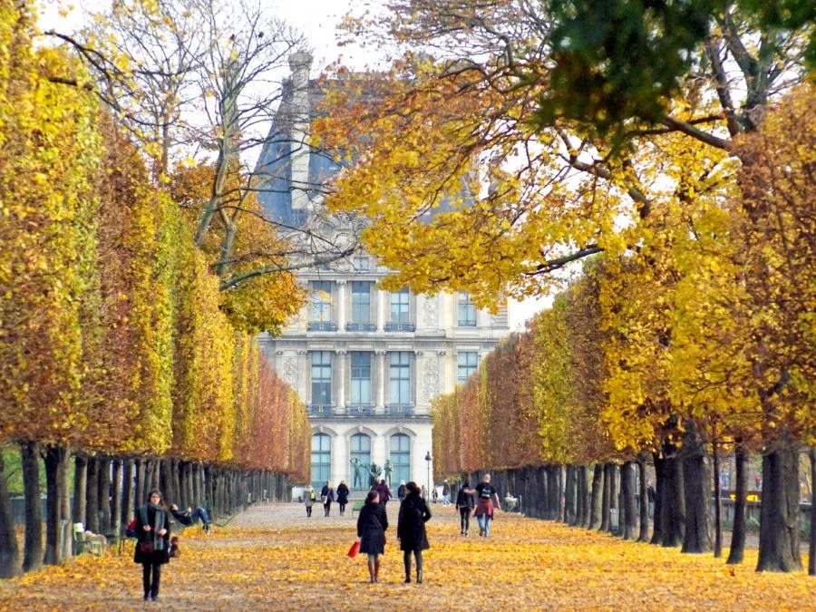 Mùa thu Paris không chỉ đẹp bởi cảnh sắc thiên nhiên mà còn bởi bầu không khí trong lành và dễ chịu