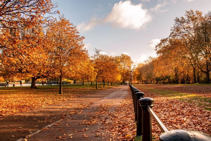 Thủ đô London nổi tiếng trong các tour du lịch Anh Quốc cũng là một trong những điểm đến đẹp nhất châu Âu mùa thu