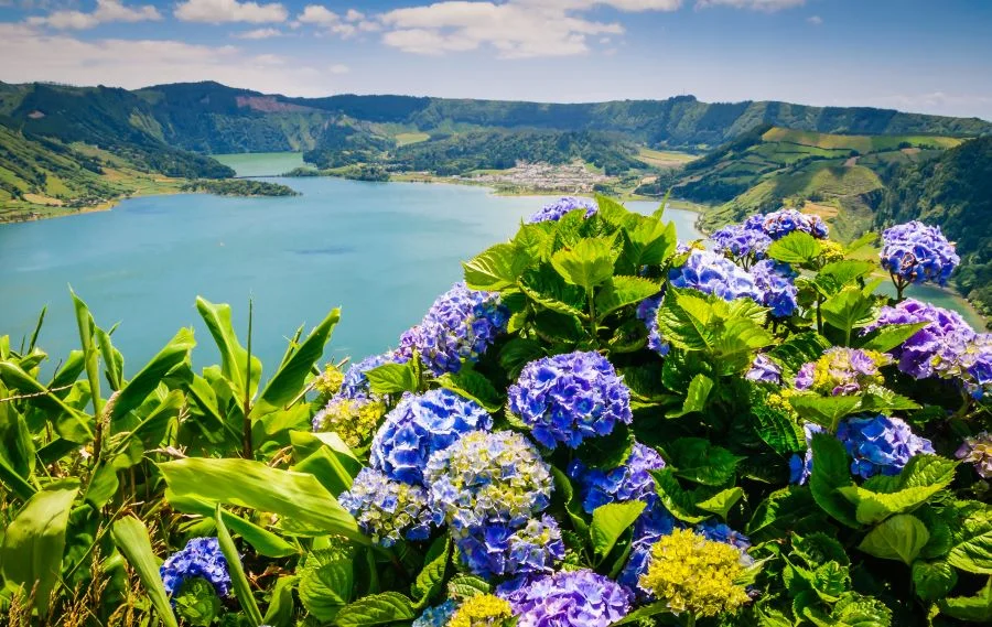 Quần đảo Azores Bồ Đào Nha với cảnh quan thiên nhiên tươi đẹp vào mùa xuân