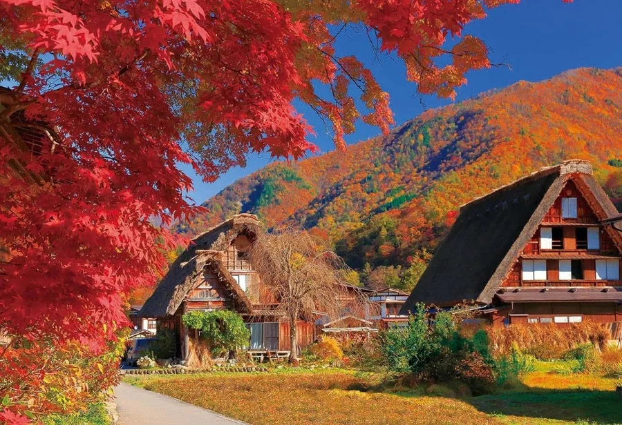 Dưới chân núi Hakusan hùng vĩ, nép mình một ngôi làng cổ kính mang tên Shirakawa-go
