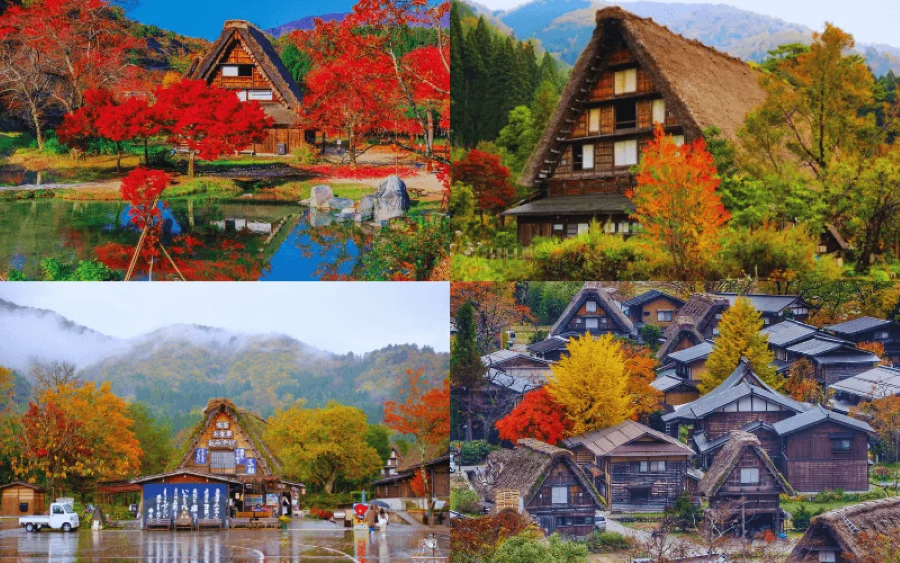 Ngôi làng Shirakawago cổ kính với những ngôi nhà mái tranh lợp ngói đen ẩn hiện giữa những tán cây đổi màu của ngày thu