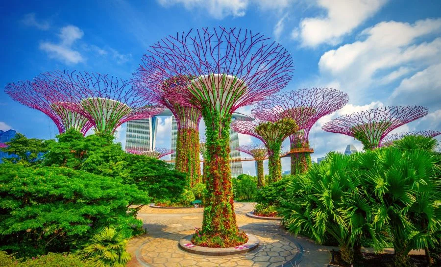 Gardens by the Bay sở hữu những cái cây nhân tạo khổng lồ đầy sống động và choáng ngợp 