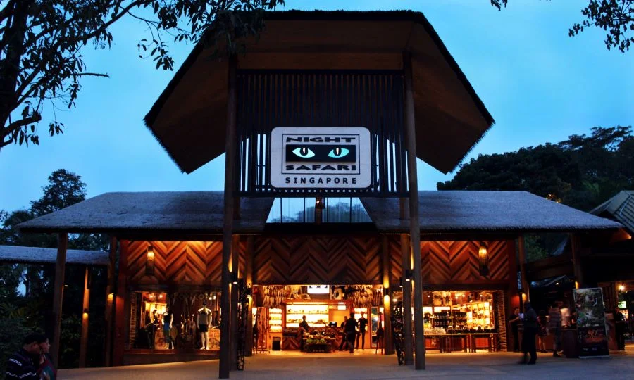 Vườn thú đêm Night Safari - địa điểm du lịch Singapore mùa hè hấp dẫn không thể bỏ qua 