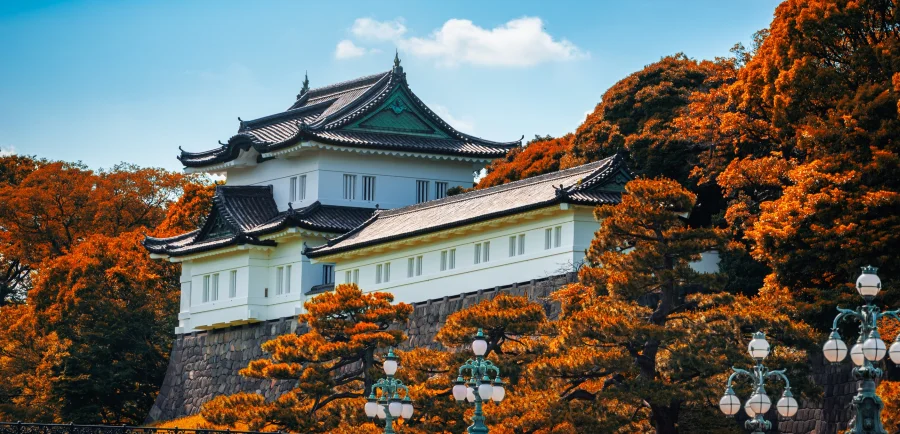 Ẩn sau tán lá đỏ rực của mùa thu, Hoàng cung Tokyo hiện lên như một bức tranh cổ kính đầy mê hoặc