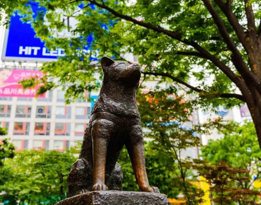 Bức tượng chú chó Hachiko tượng trưng cho lòng trung thành và tình cảm sâu sắc