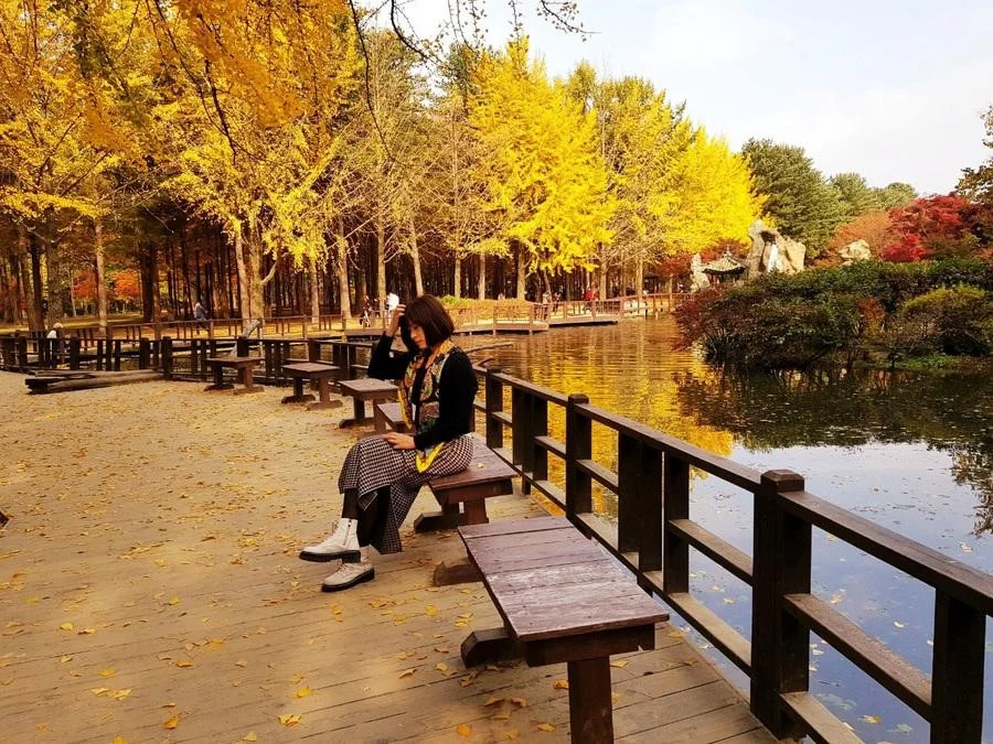 Đảo Nami lãng mạn vào mùa thu
