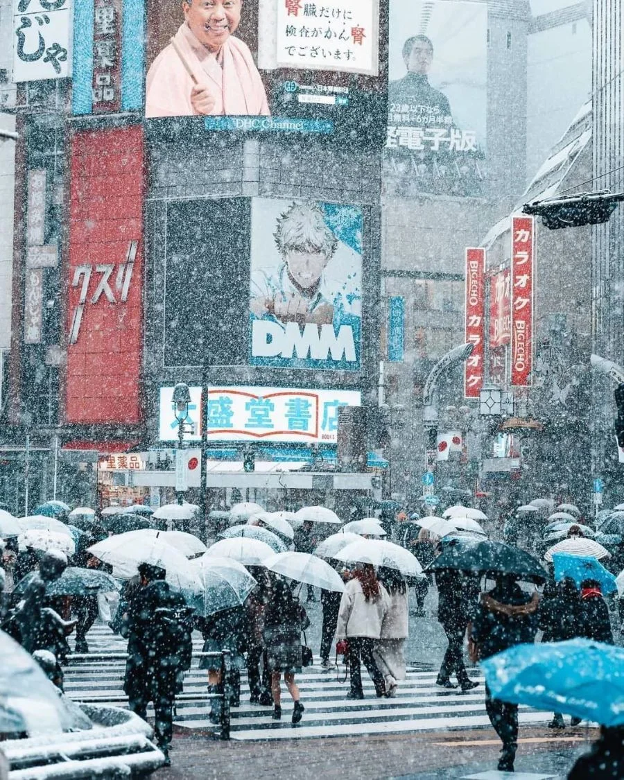 Khung cảnh Tokyo dưới tuyết trắng đẹp đến nao lòng