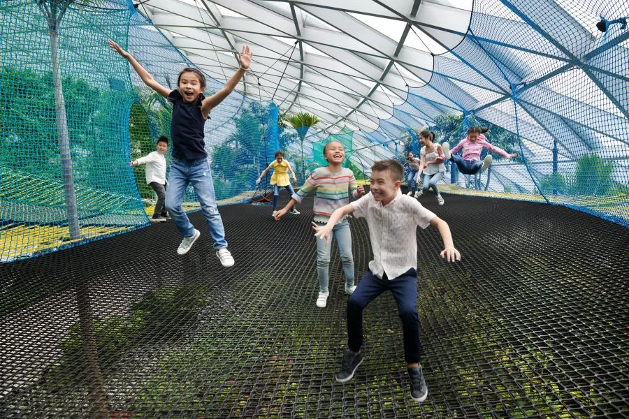 Công viên Canopy - Điểm dừng chân tuyệt vời cho du khách tại Singapore Top Ten Travel