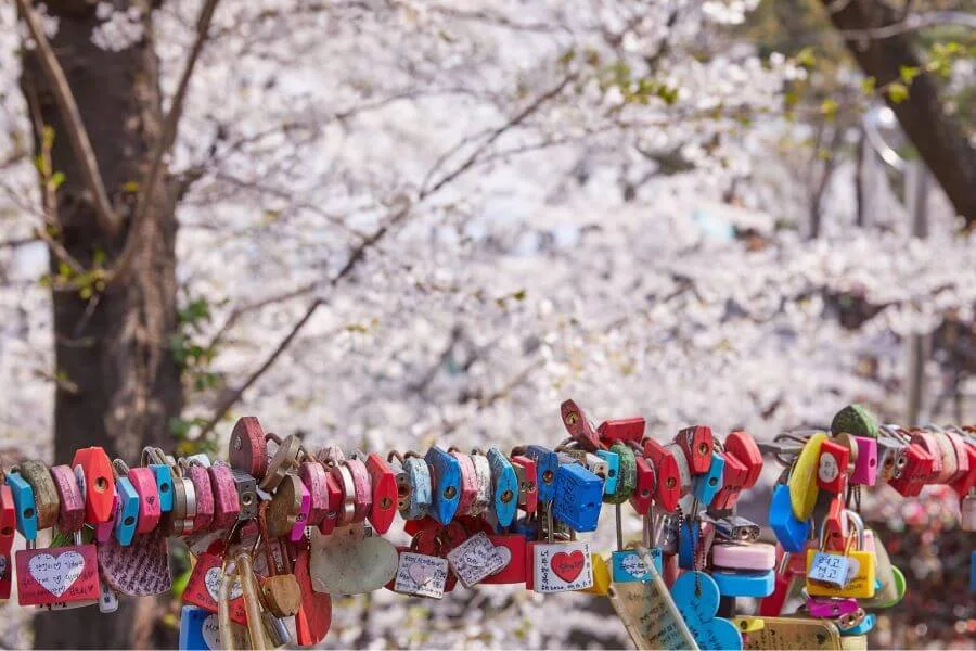 Một trong những điểm nhấn đặc biệt nhất tại Namsan chính là 