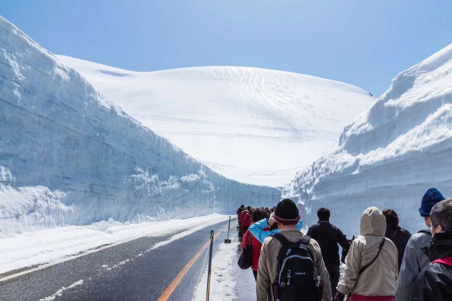 Lượng khách tham quan Cung đường tuyết Tateyama Kurobe Alpine là rất lớn