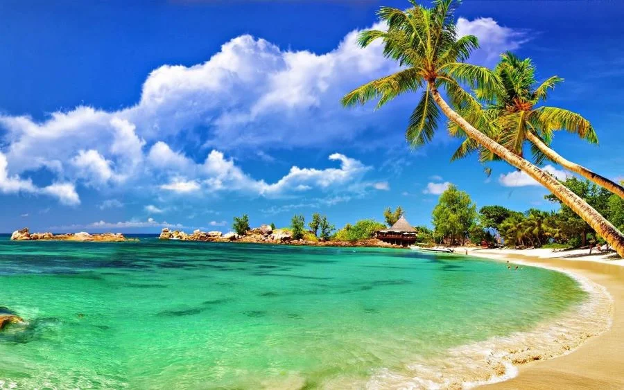 Biển là sự lựa chọn phù hợp nếu bạn muốn tránh cái nóng bức của mùa hè