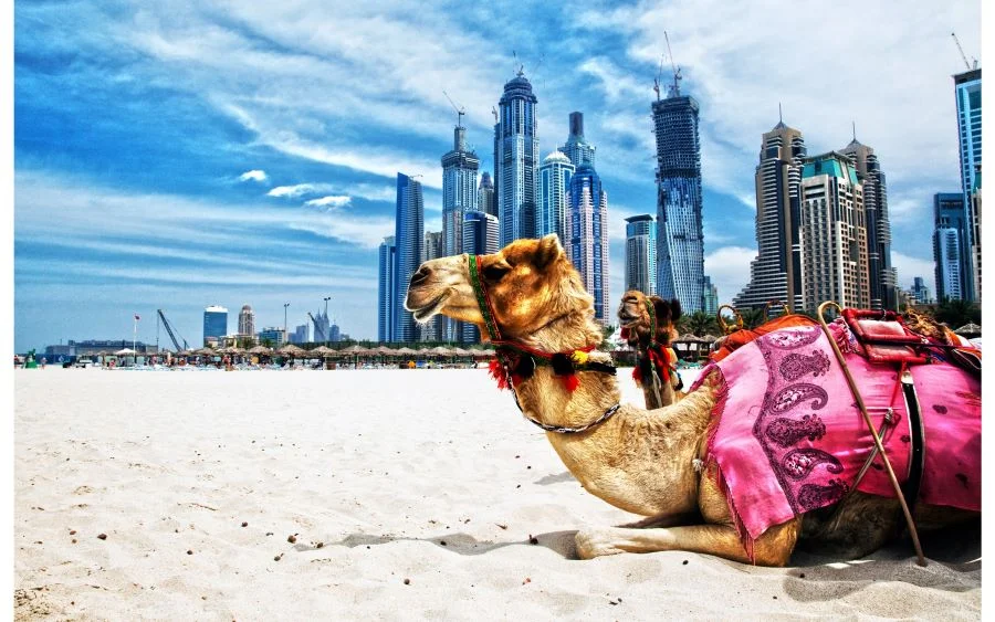 Dubai trở nên nóng bức mỗi khi bước vào mùa hè