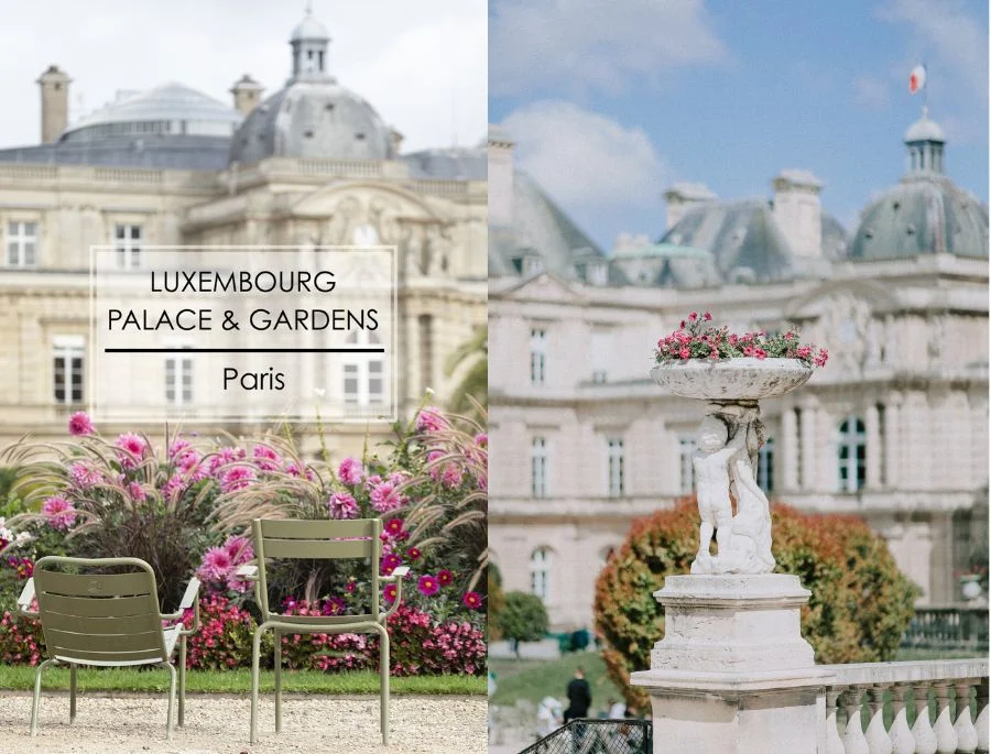 Vườn Luxembourg sở hữu khung cảnh tuyệt đẹp mỗi khi mùa hoa mộc lan nở rộ