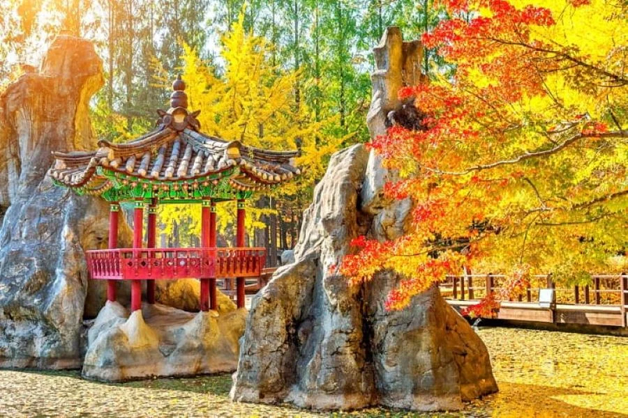 Đến Nami mùa thu để được tận hưởng thiên nhiên thơ mộng và thanh bình bạn nhé