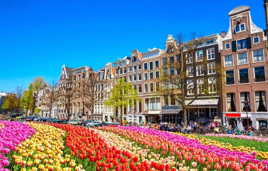 Khám phá thiên đường hoa Tulip tại Hà Lan