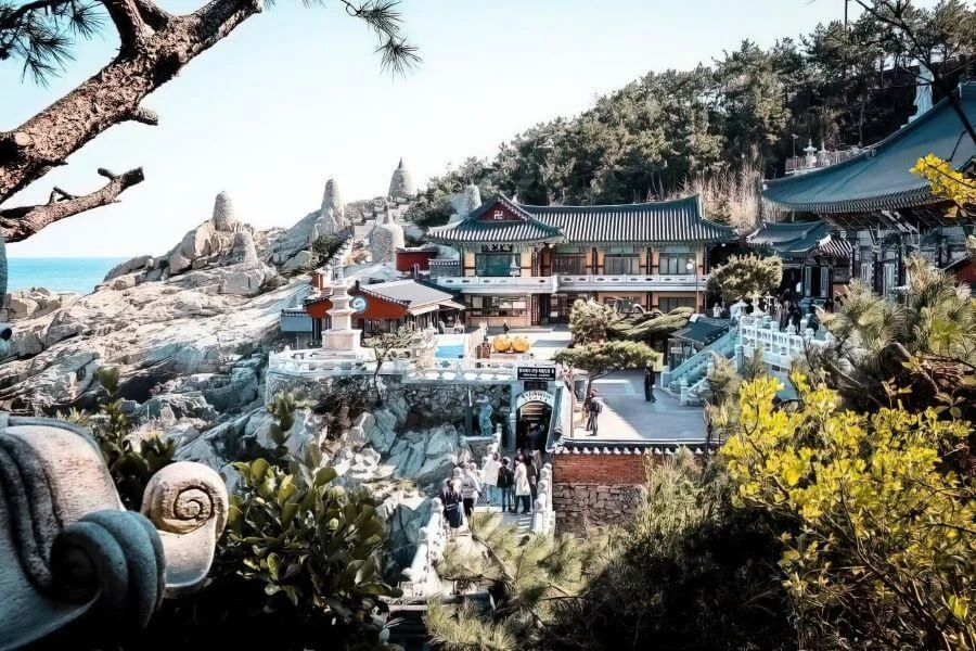 Lối vào đền Haedong Yonggungsa được tô điểm bởi những hàng cây xanh mát, những khóm hoa rực rỡ theo mùa vô cùng đặc biệt