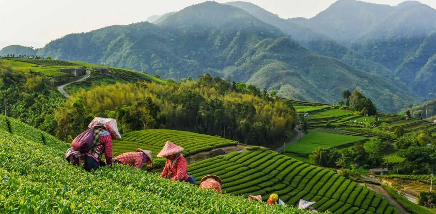 Thời tiết tháng 4 khá mát mẻ và dễ chịu, thích hợp cho các hoạt động ngoài trời