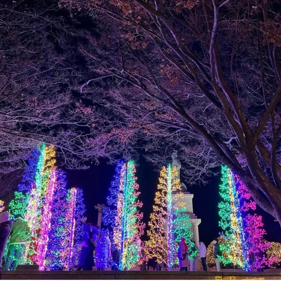 Những cây thông Noel khổng lồ được trang trí lộng lẫy và những con phố tràn ngập sắc màu tại Nampodong