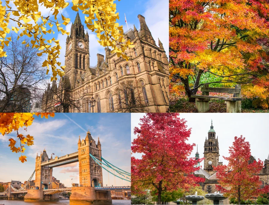 Thành phố London sôi động dần chuyển mình sang khung cảnh bình yên