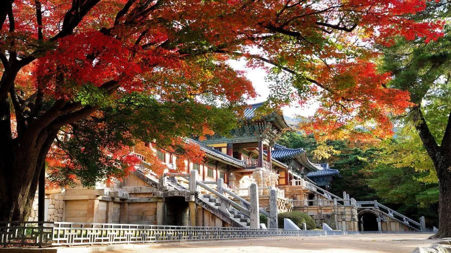 Đền Bulguksa là một kiệt tác kiến trúc Phật giáo đỉnh cao với lịch sử tồn tại hơn 1500 năm