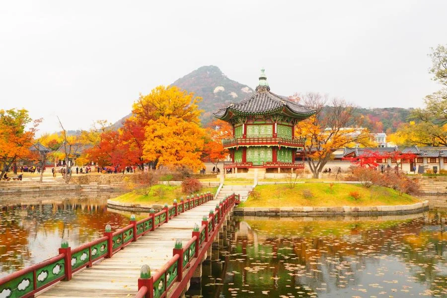 Cung điện Gyeongbokgung sở hữu vẻ đẹp thiên nhiên thơ mộng, lãng mạn mỗi khi thu về