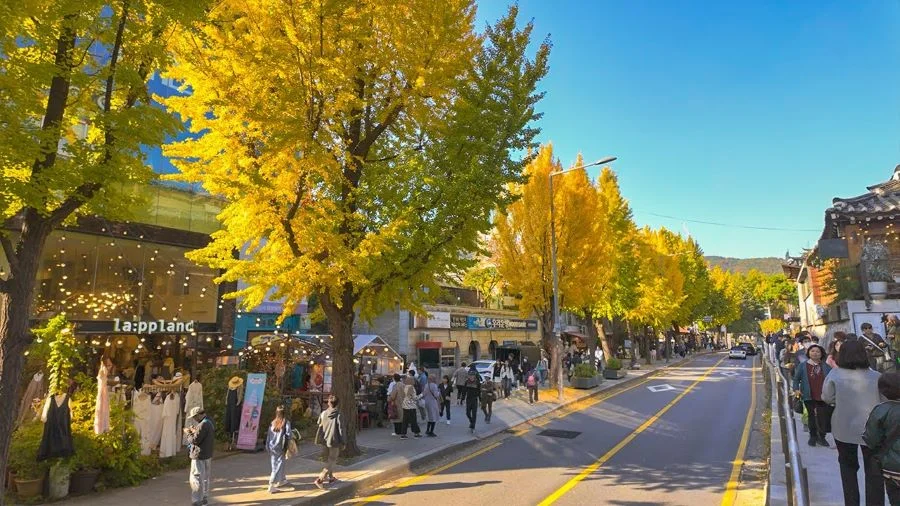 Khu Samcheong-dong - khu phố cổ kính bình yên như một ốc đảo giữa lòng Seoul sôi động
