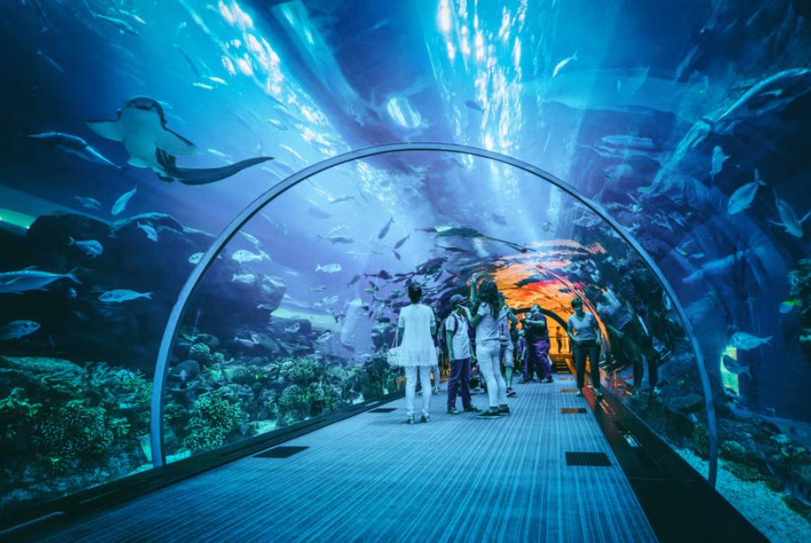 Đường hầm kính 90m tại Aquaria KLCC đưa bạn vào thế giới đại dương sống động