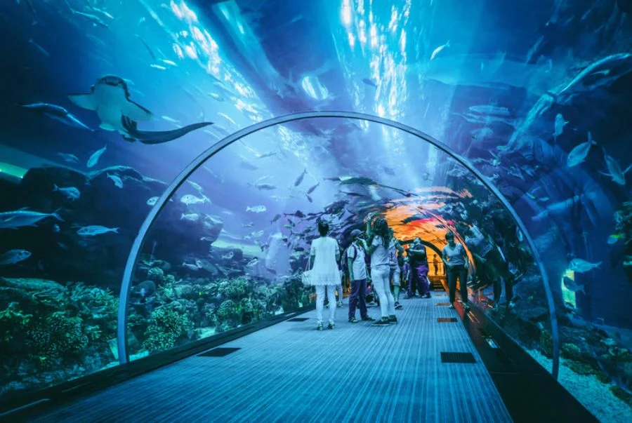 Đường hầm kính 90m tại Aquaria KLCC đưa bạn vào thế giới đại dương sống động