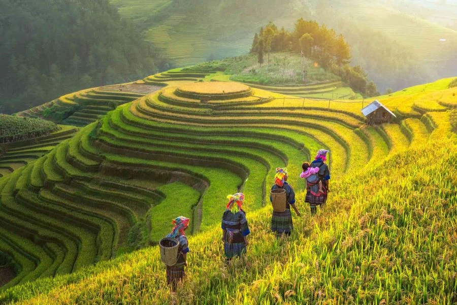 Sapa - địa điểm du lịch mùa hè cho gia đình sở hữu cảnh quan thiên nhiên vừa hùng vĩ vừa thơ mộng