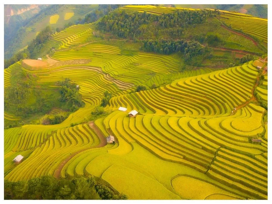 Những thửa ruộng Mù Cang Chải đã nổi tiếng là một trong các tuyệt tác nghệ thuật của người Mông