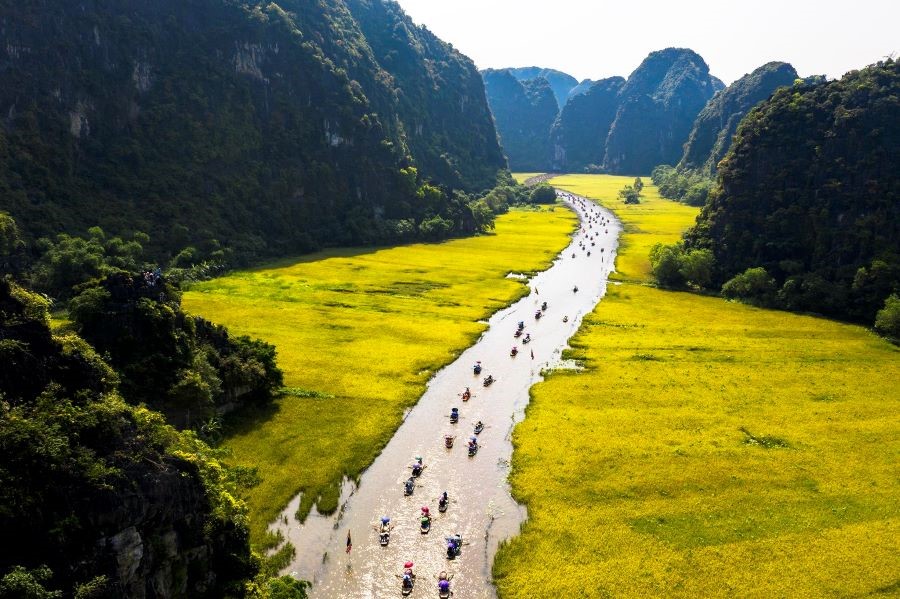 Tam cốc - Một trong những địa điểm ngắm mùa lúa chín đẹp nhất không thể bỏ lỡ khi đi du lịch Miền Bắc